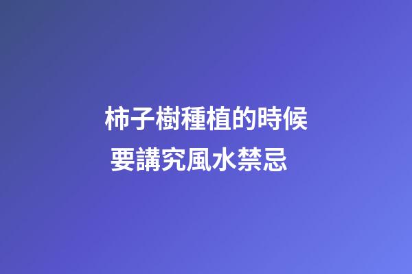 柿子樹種植的時候 要講究風水禁忌